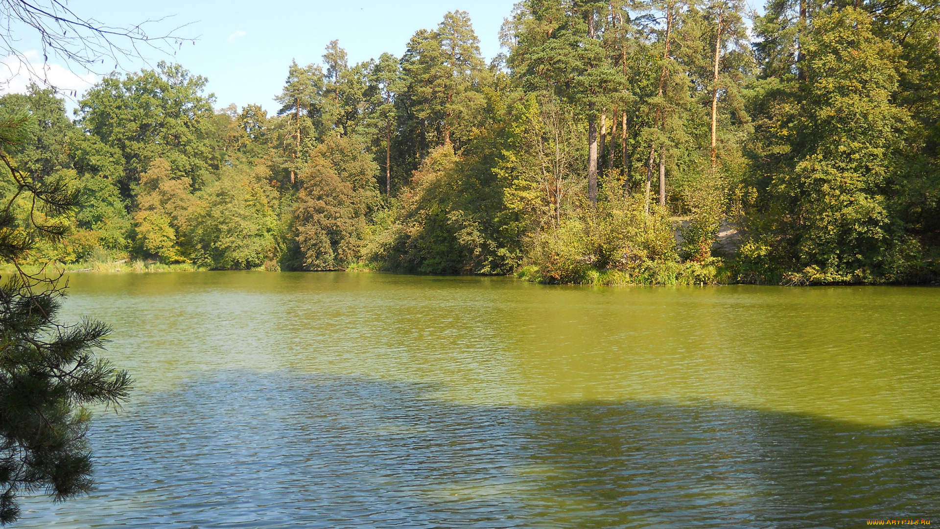 пуща-водица, природа, реки, озера, озеро, горащиха, киев