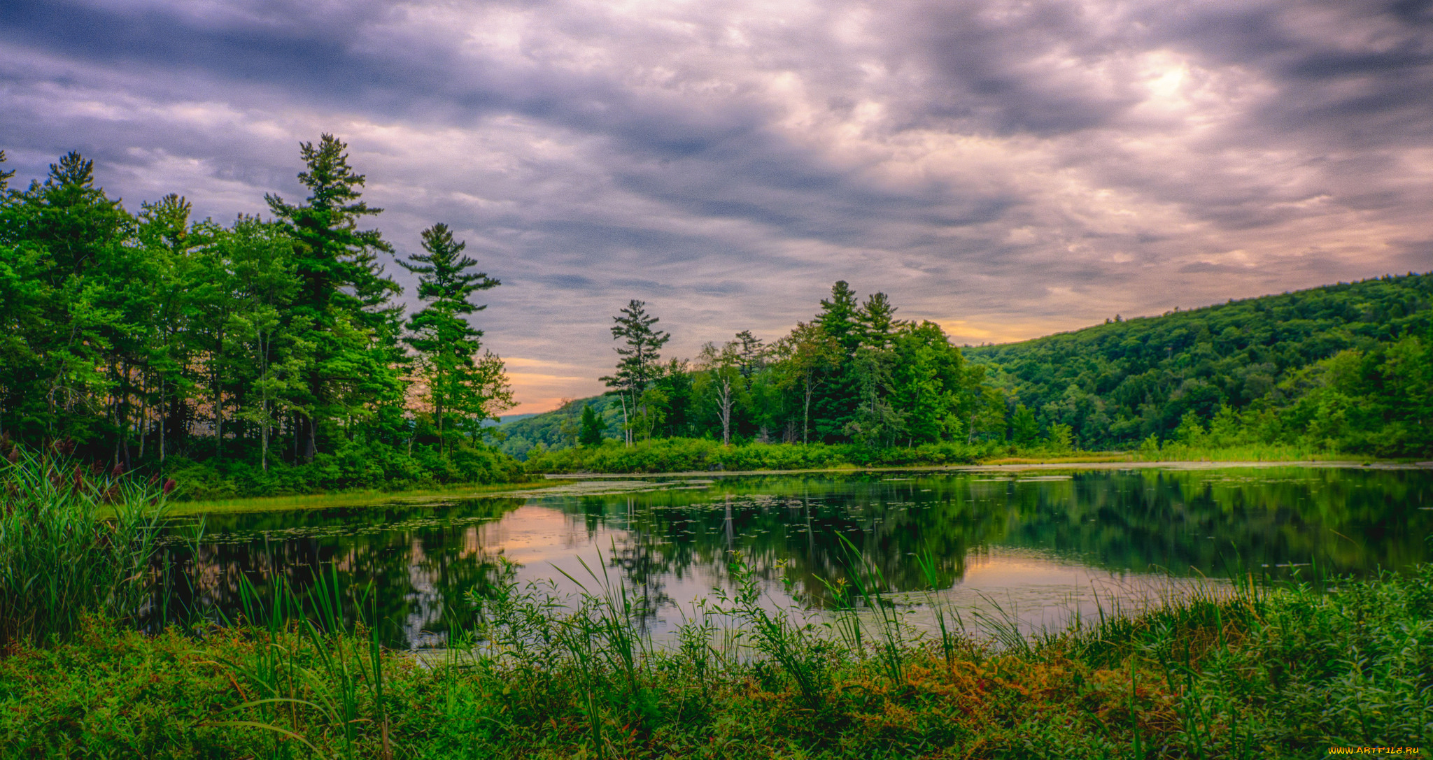 природа, реки, озера, река, лес