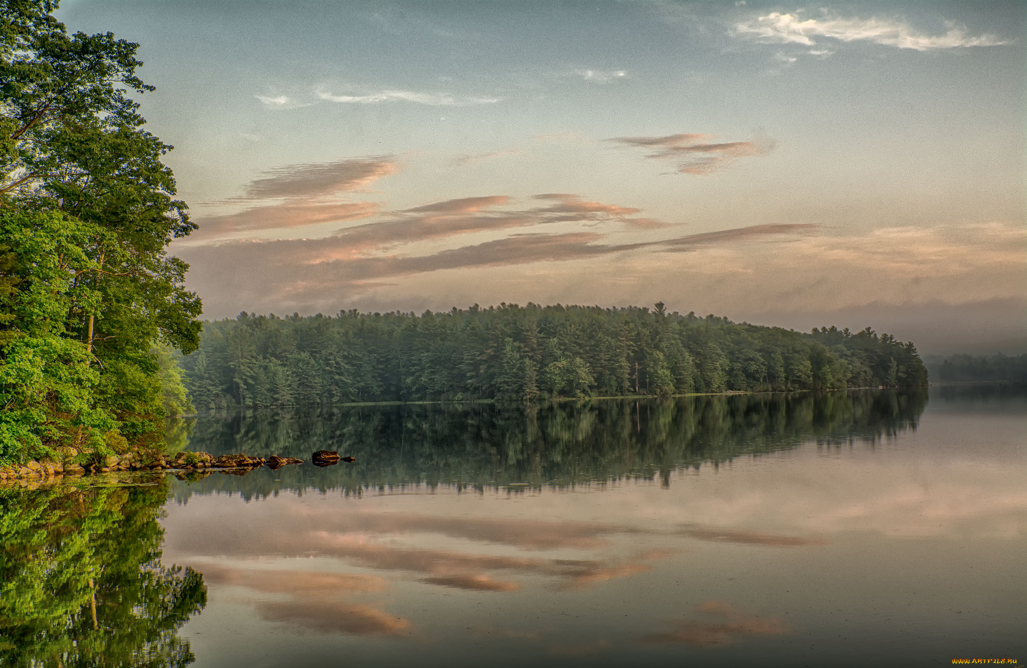 природа, реки, озера, лес, река