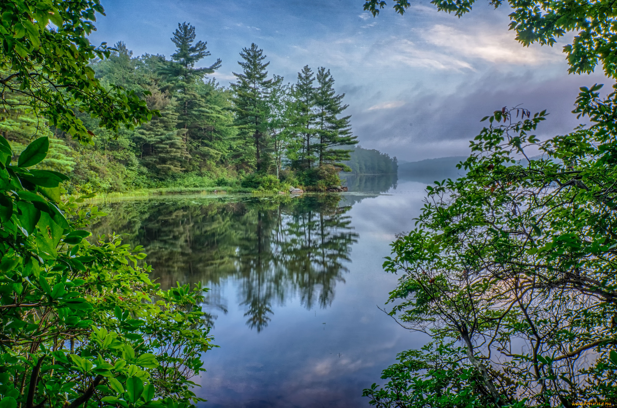 природа, реки, озера, река, лес