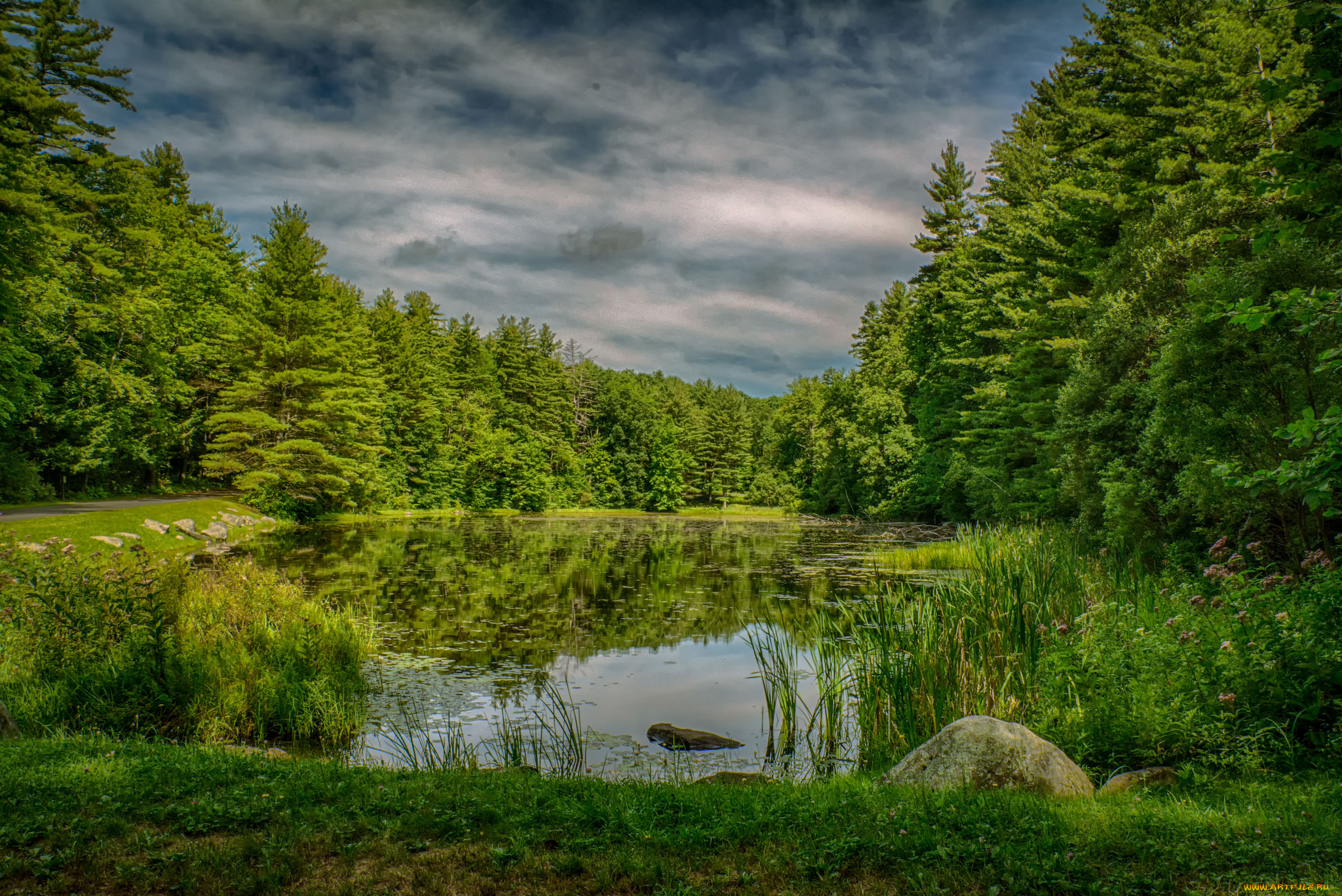 природа, реки, озера, река, лес