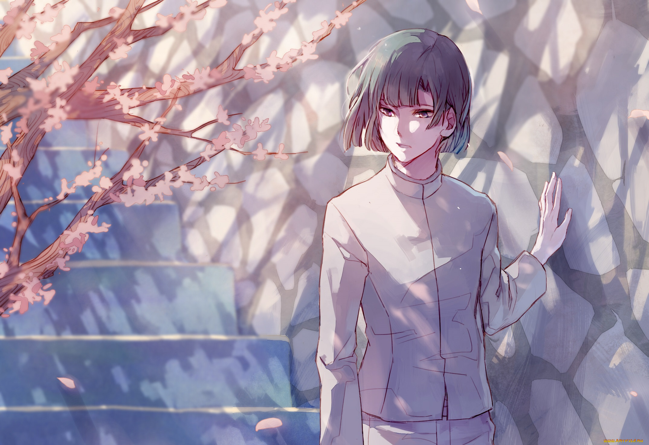 аниме, hikaru, no, go, парень