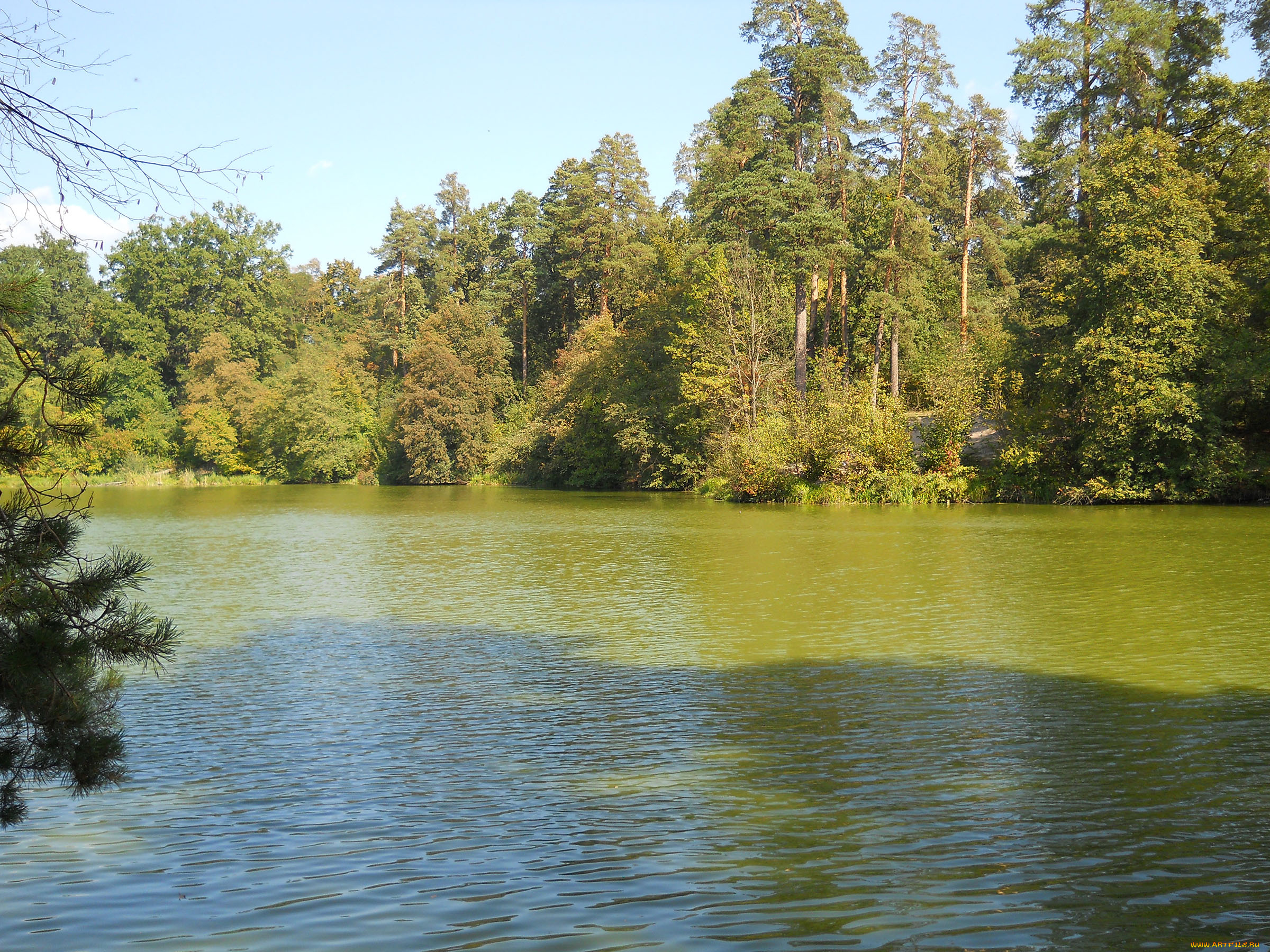 пуща-водица, природа, реки, озера, озеро, горащиха, киев