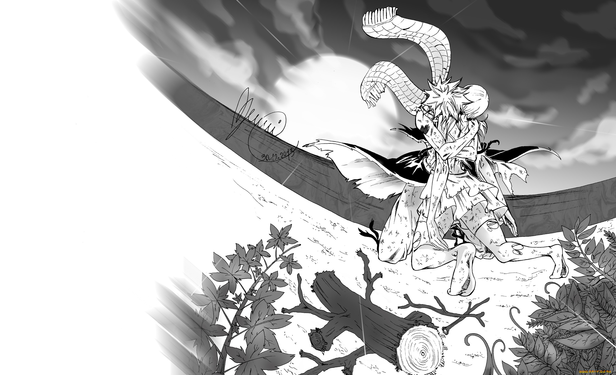 аниме, fairy, tail, двое