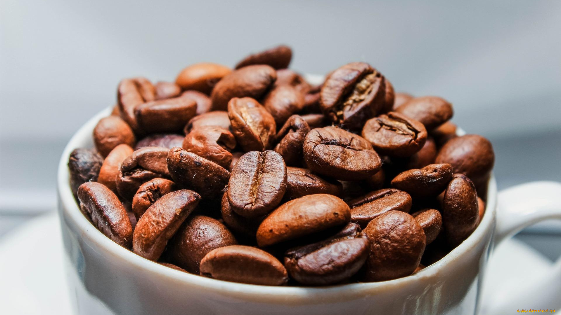 еда, кофе, , кофейные, зёрна, чашка, кофейные, зерна