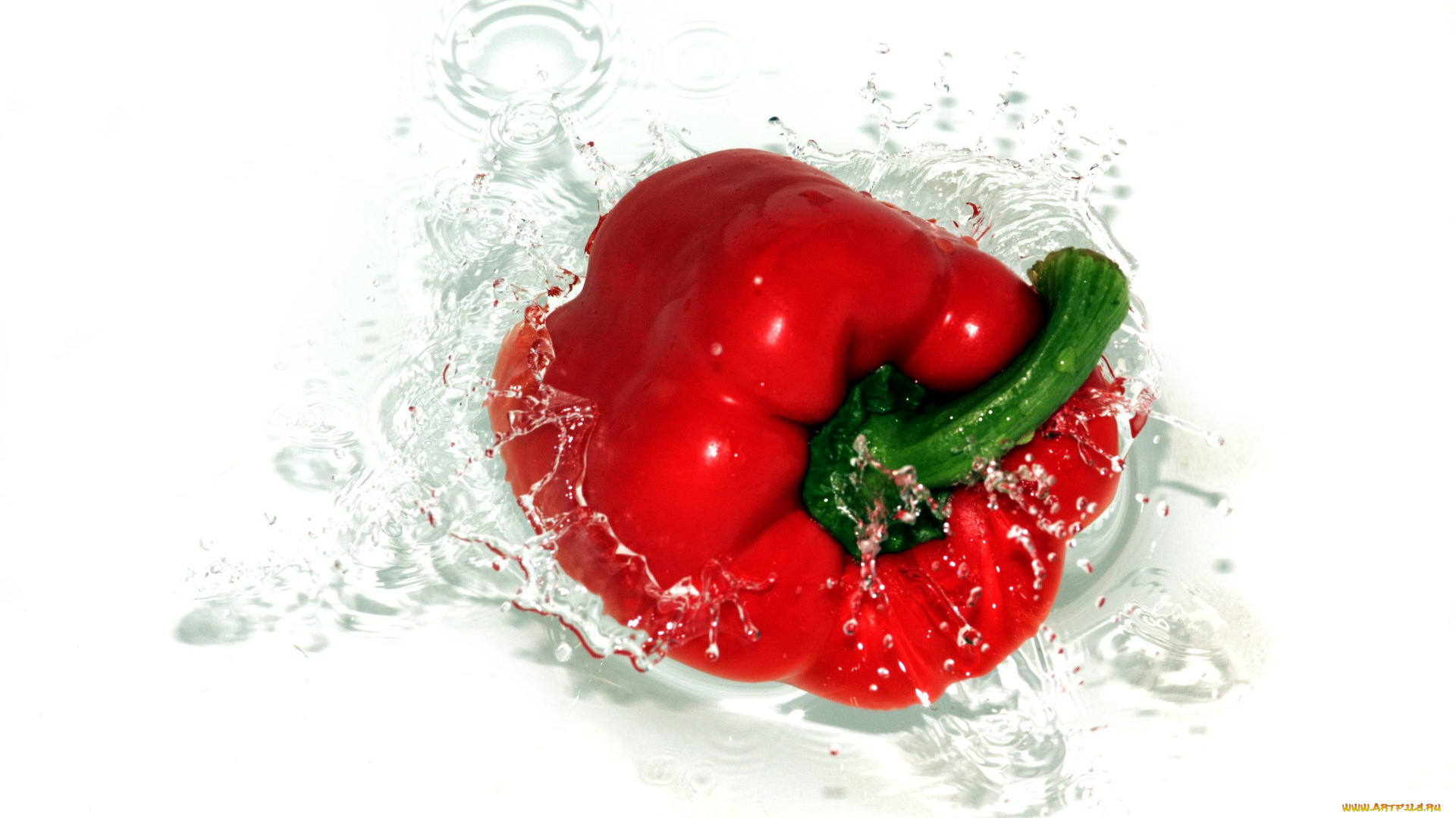 еда, перец, вода, красный
