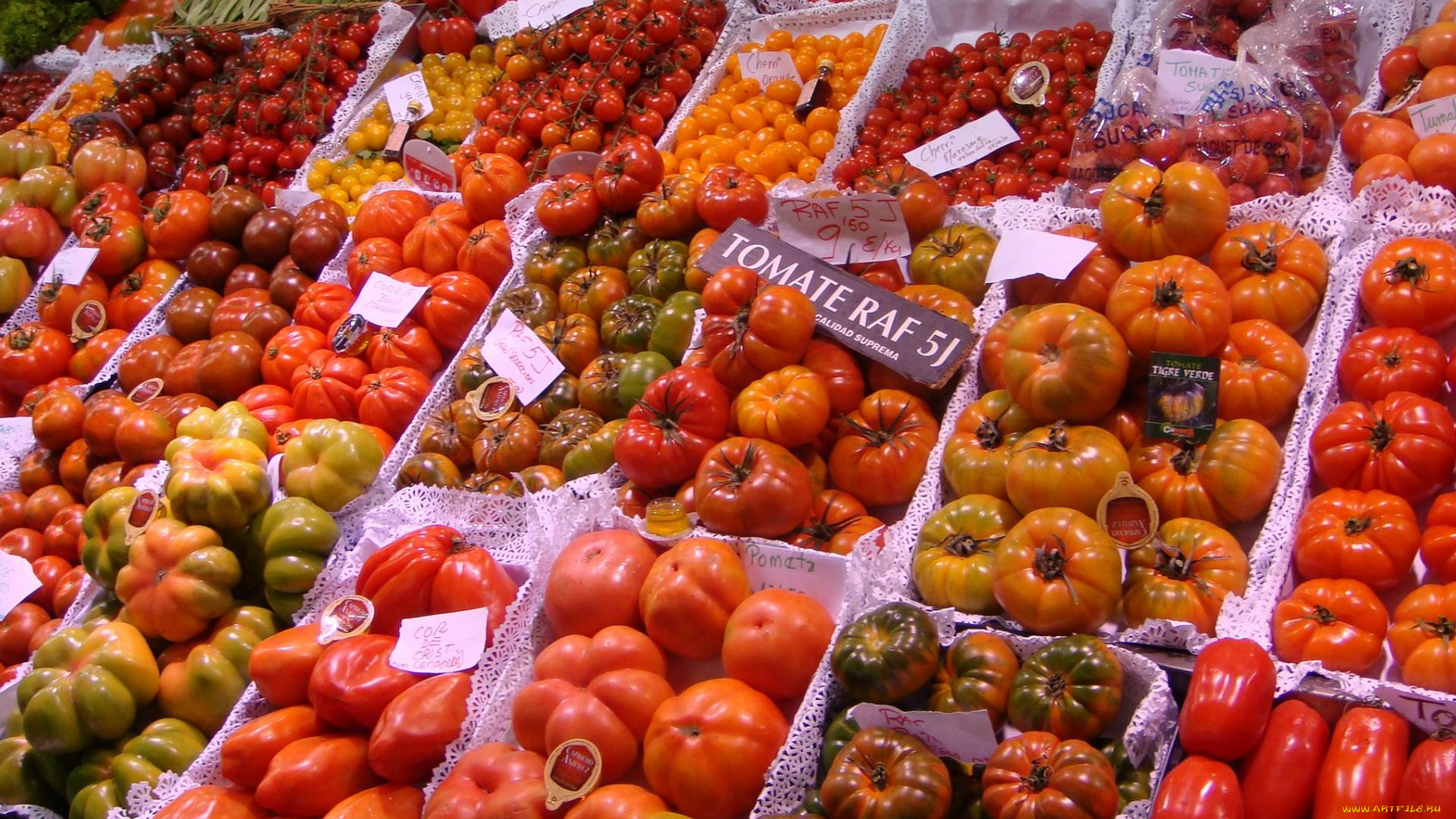 еда, помидоры, ассорти, томаты, много