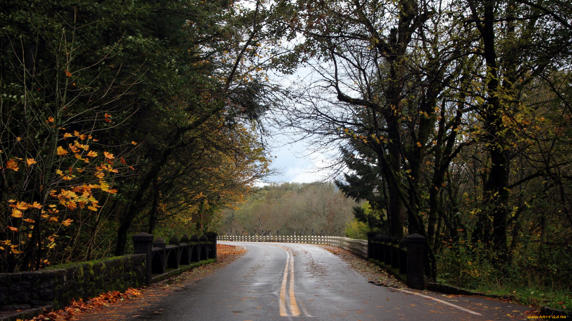 природа, дороги, поворот, шоссе