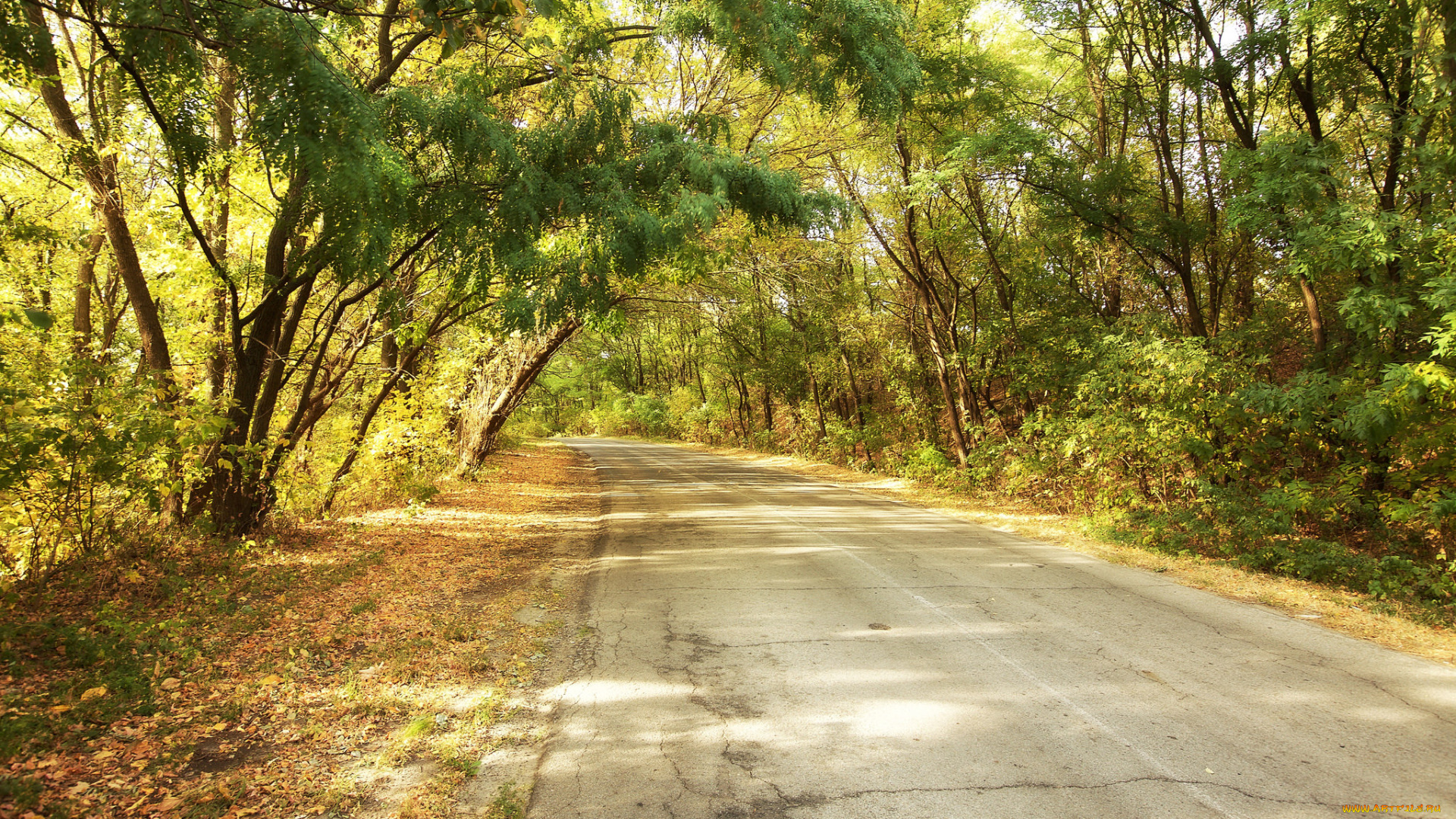 природа, дороги, простор