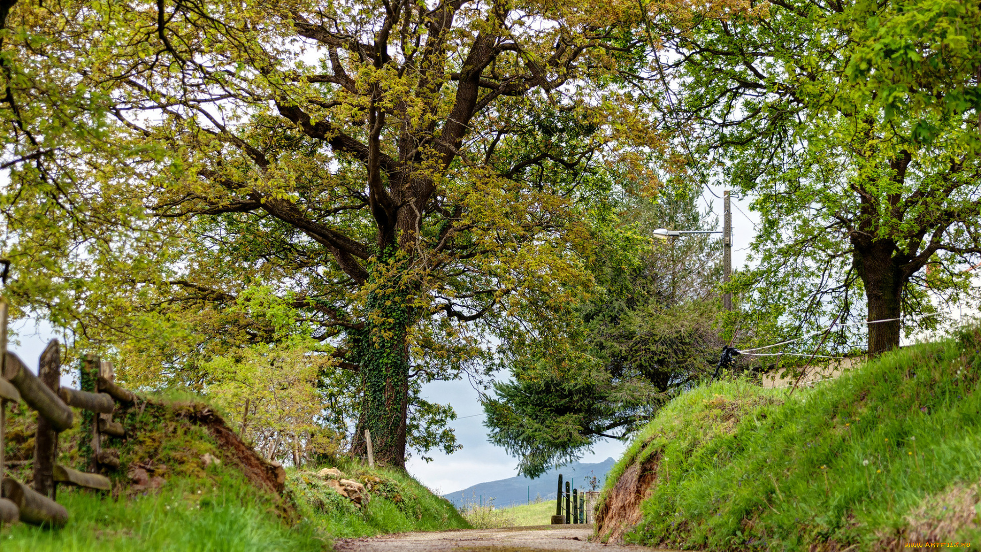 природа, дороги, простор