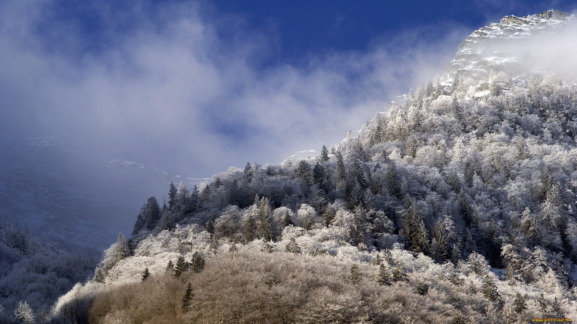 природа, горы, простор