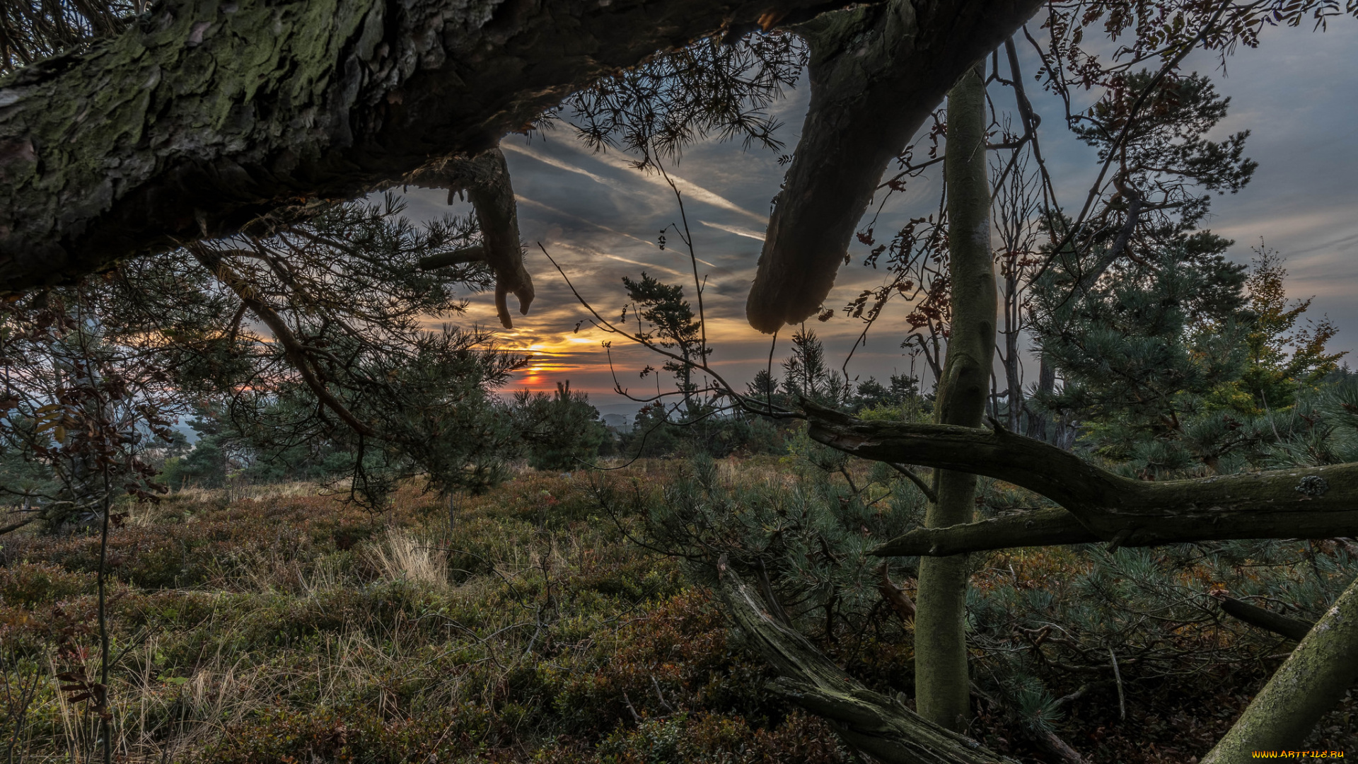 природа, пейзажи, простор