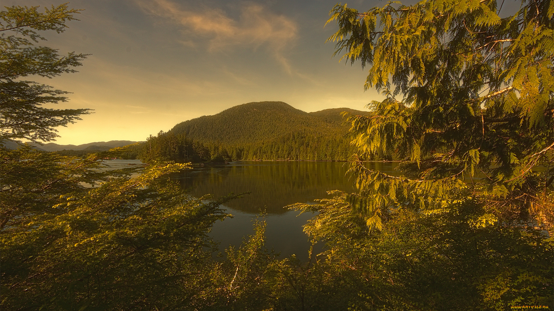 природа, пейзажи, простор