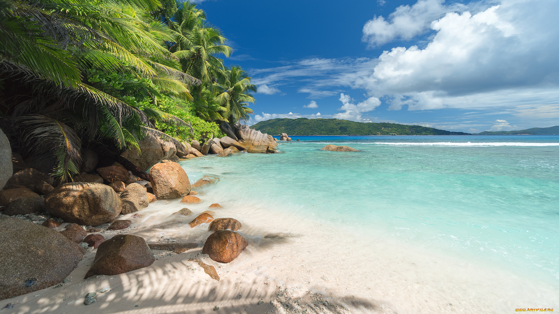 природа, побережье, тропики, пляж, пальмы, песок