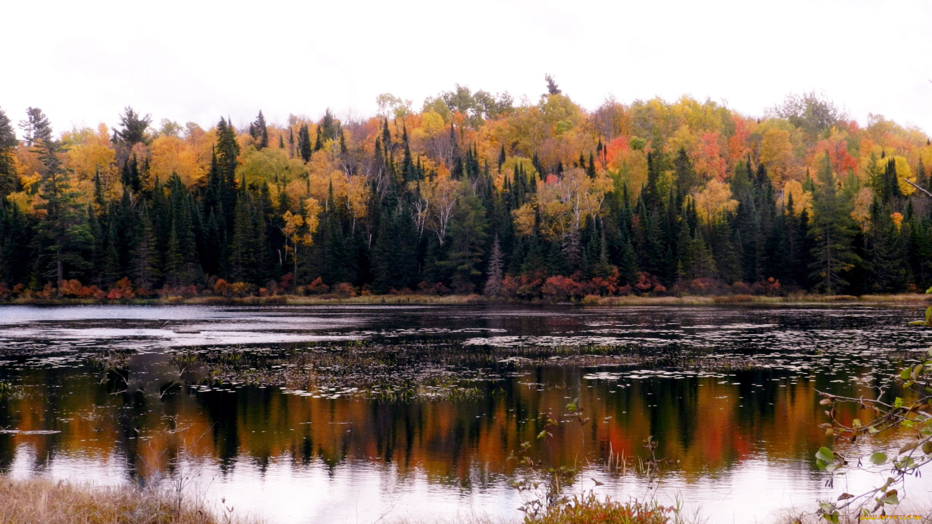 природа, реки, озера, осень