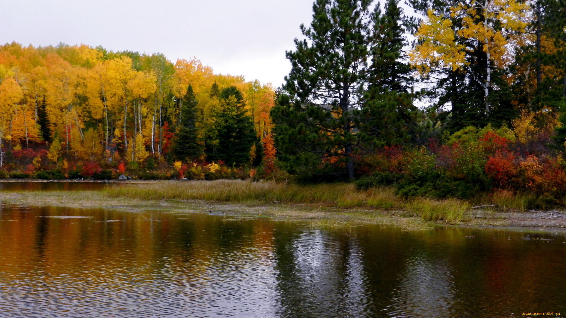 природа, реки, озера, осень