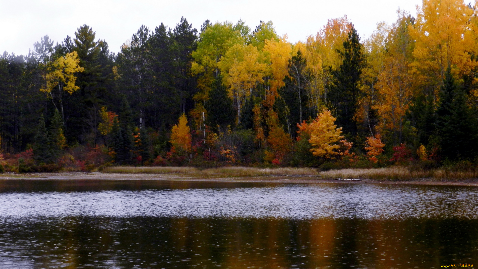 природа, реки, озера, осень