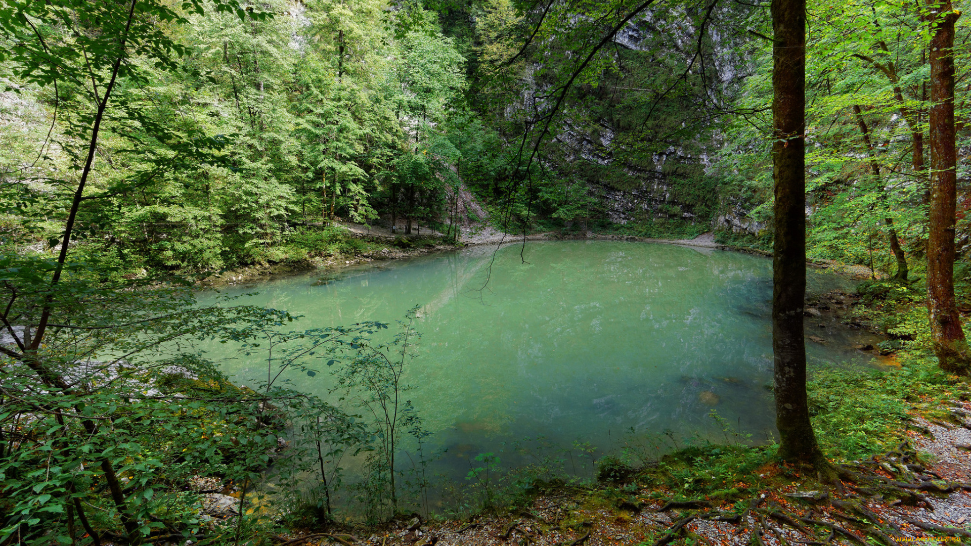 природа, реки, озера, простор