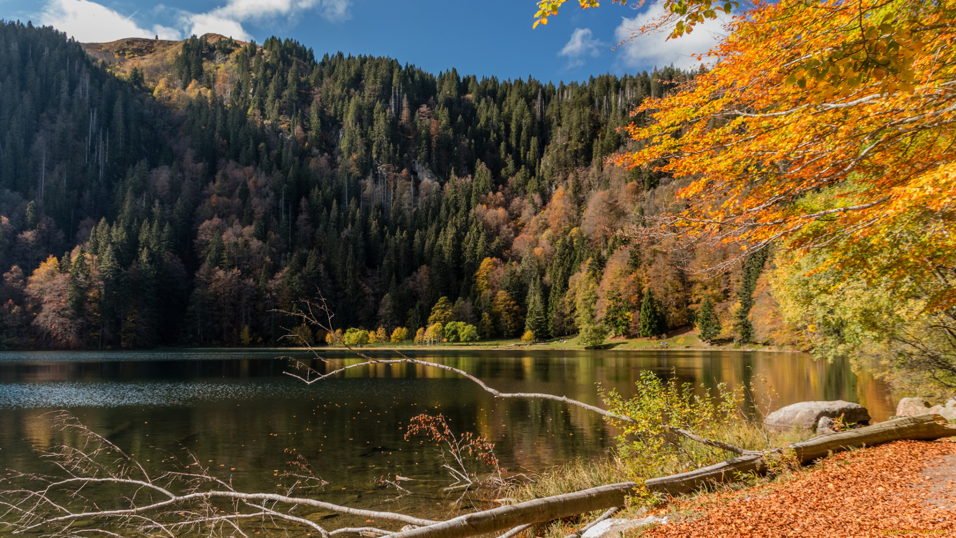 природа, реки, озера, простор