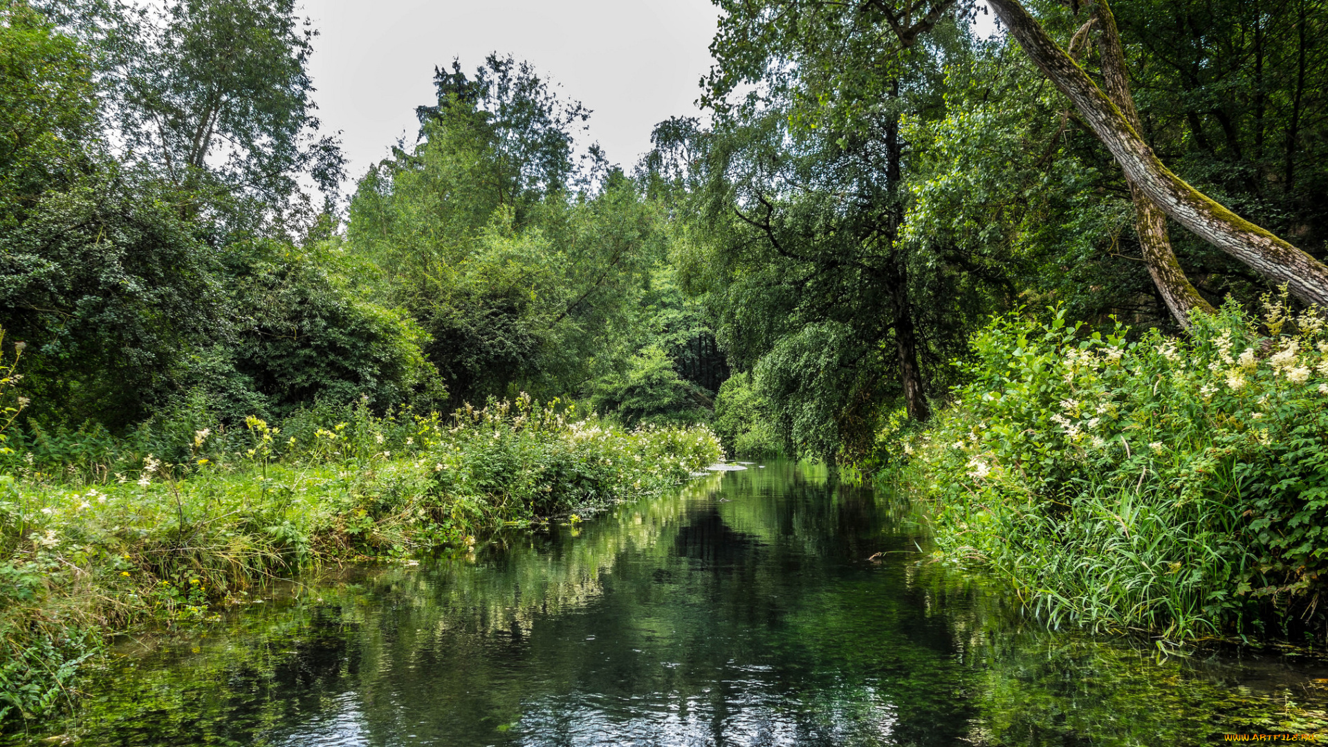 природа, реки, озера, простор