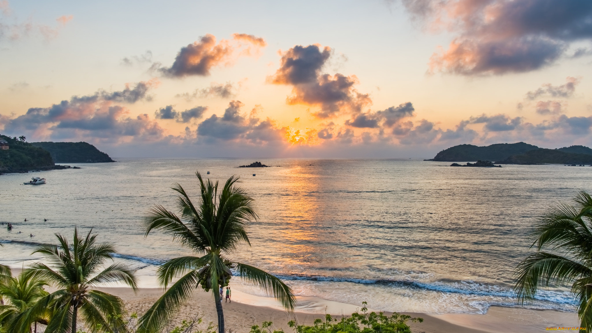 природа, тропики, простор