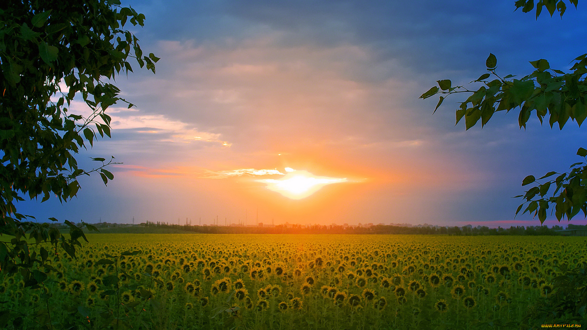 природа, восходы, закаты, простор