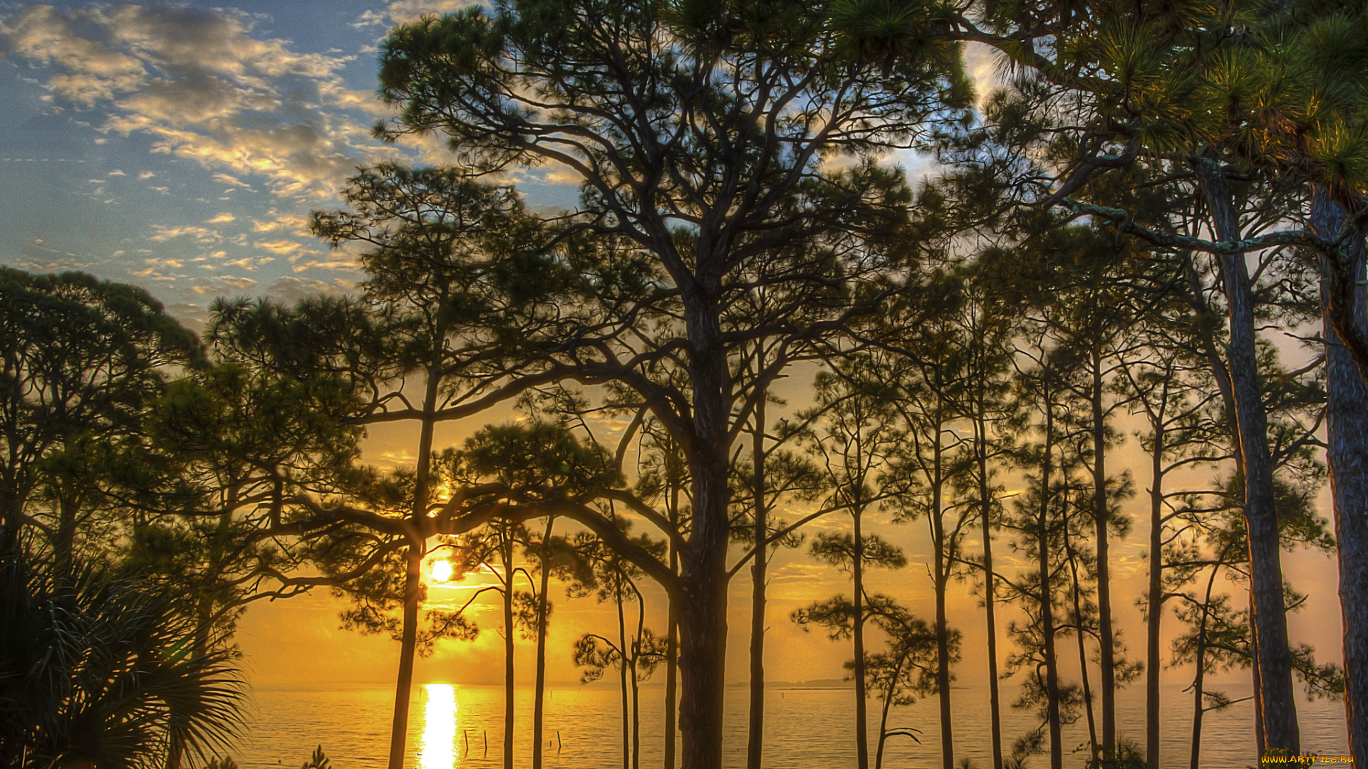 природа, восходы, закаты, простор