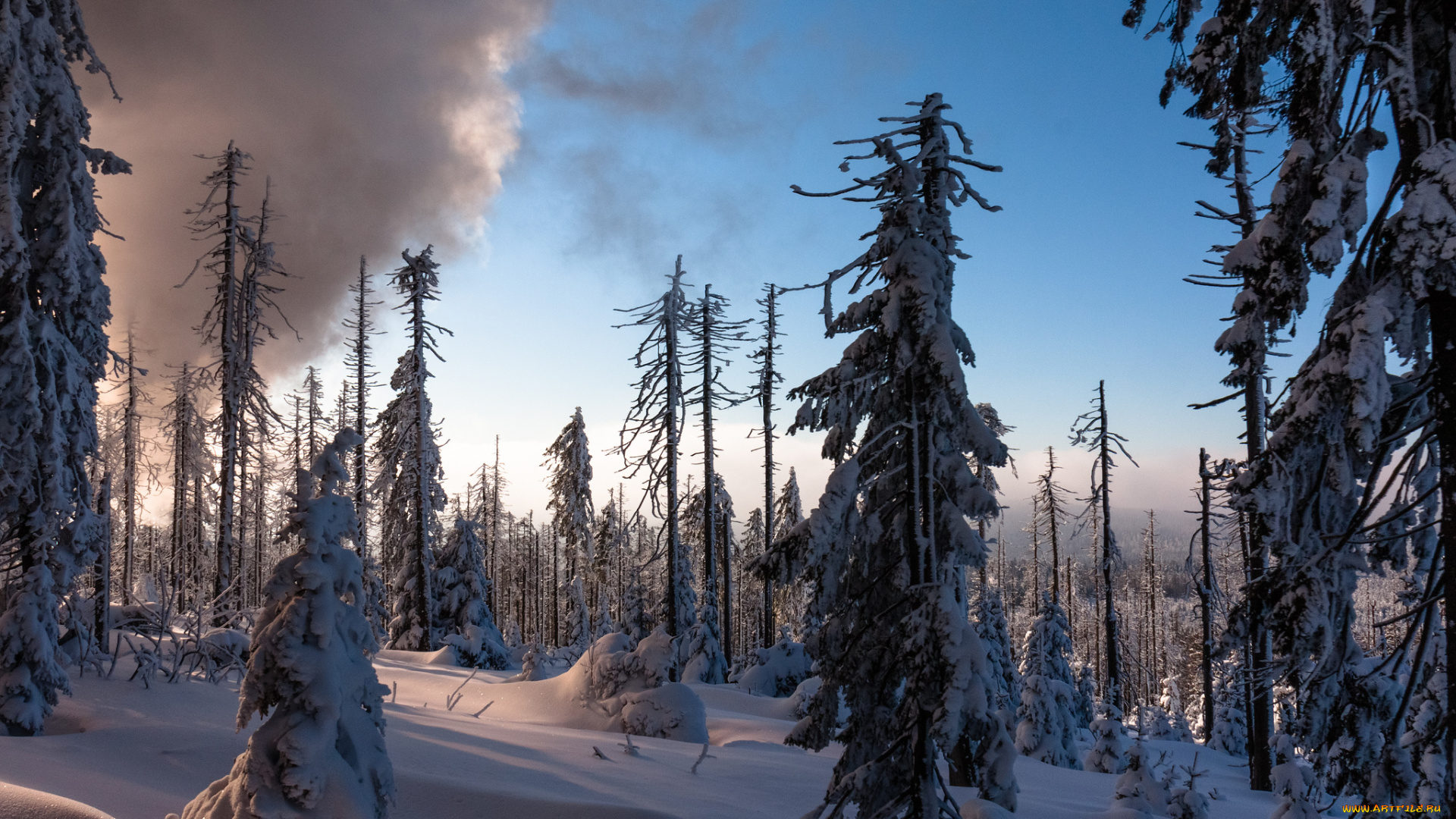 природа, зима, простор