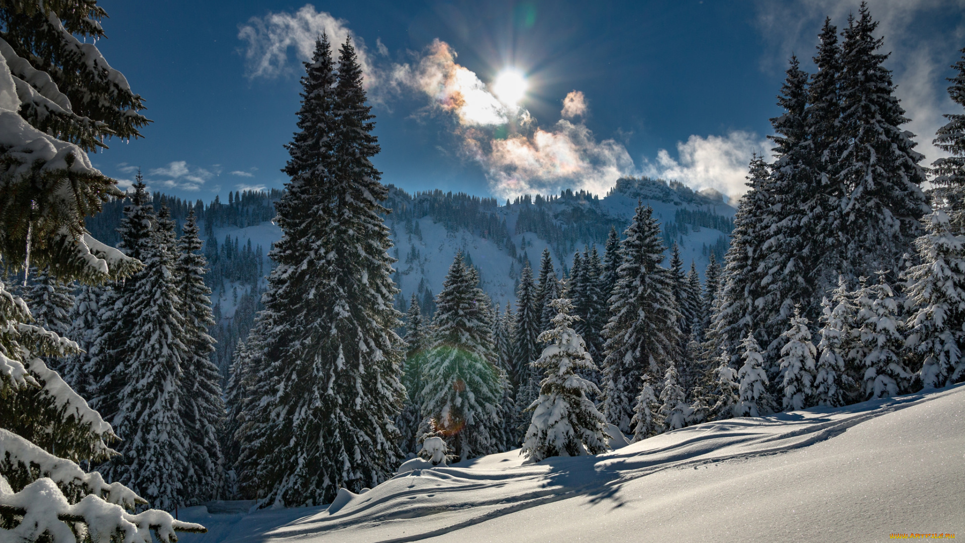 природа, зима, простор