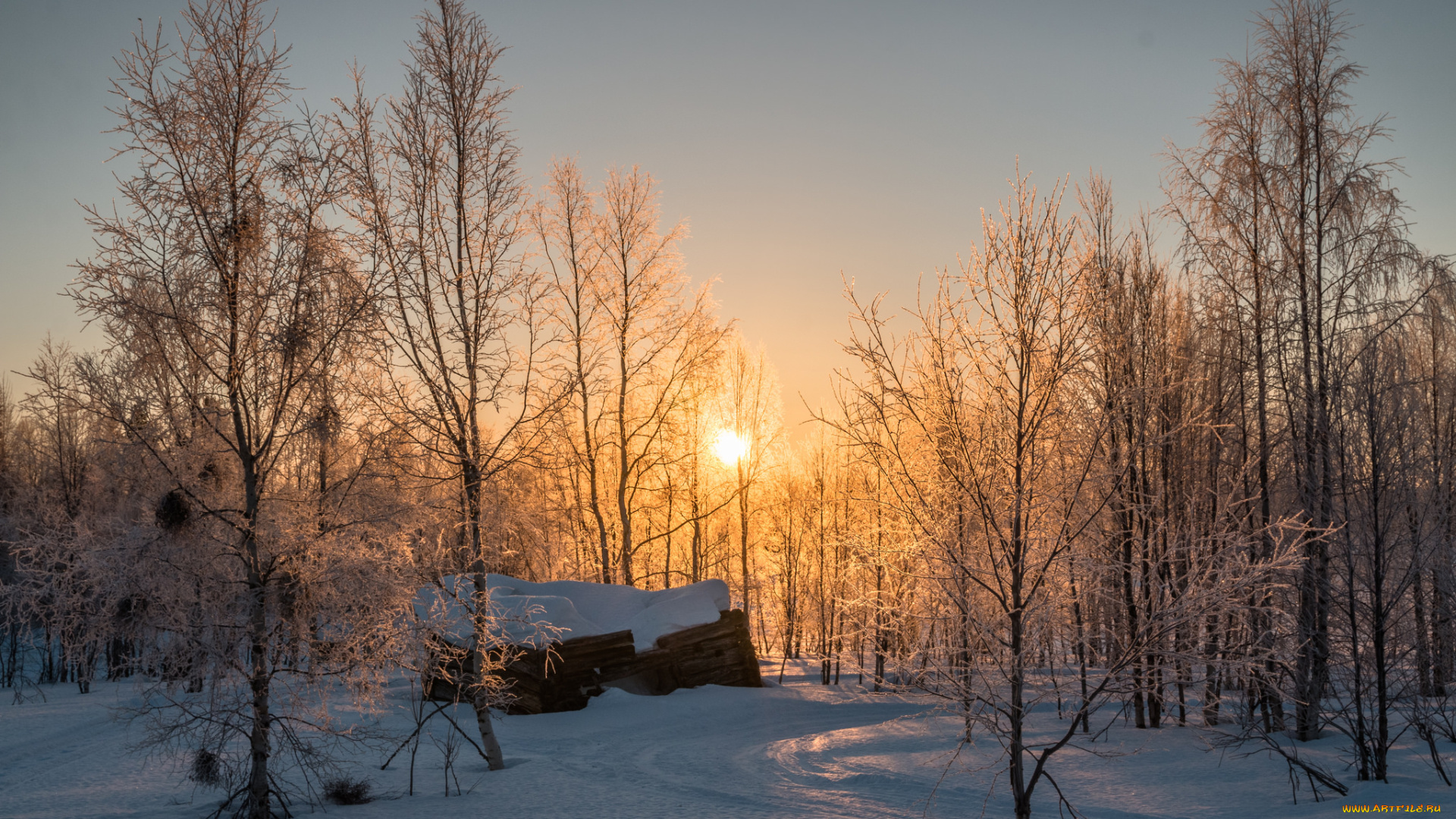 природа, зима, простор