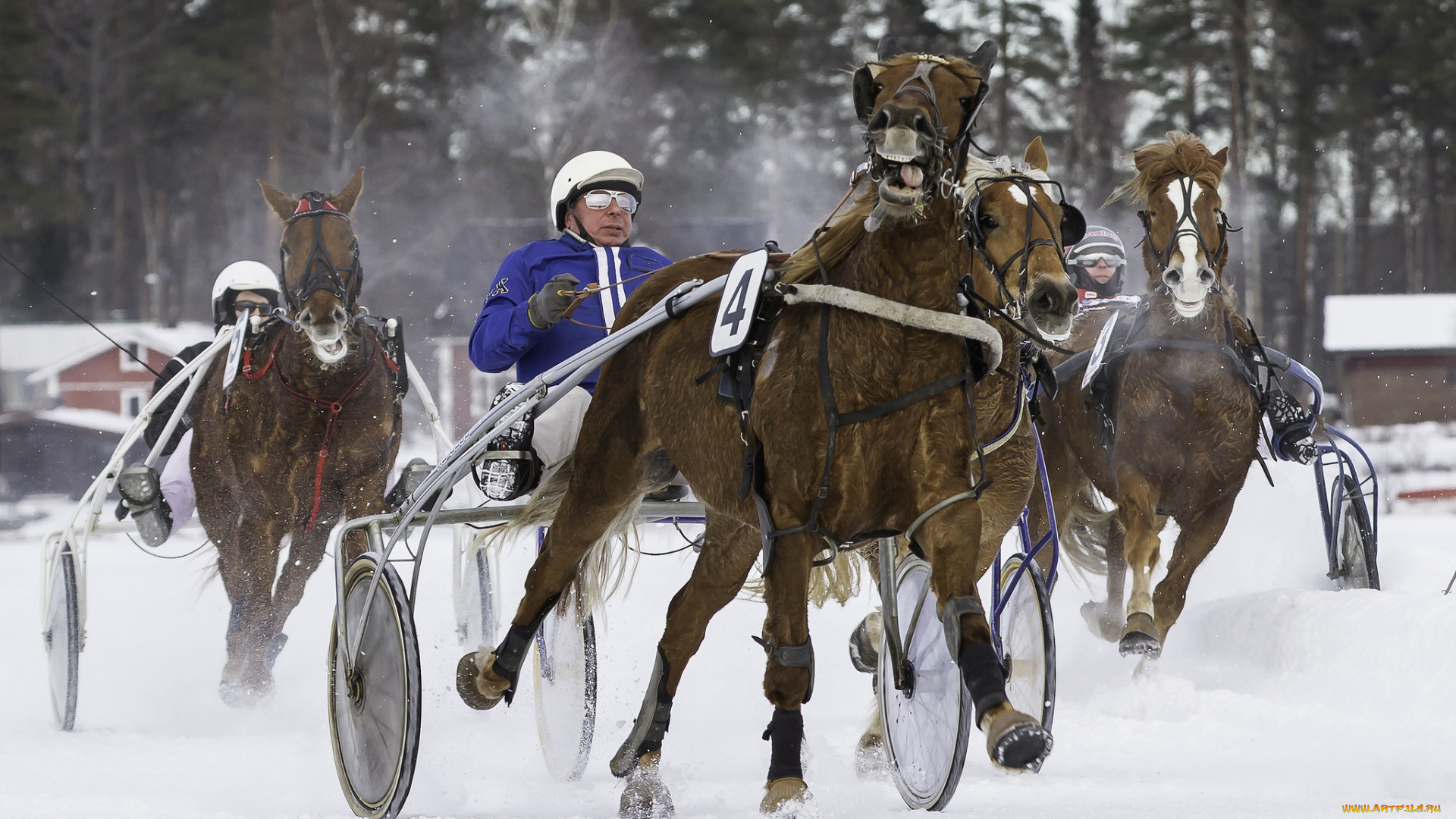 спорт, конный, спорт, бега