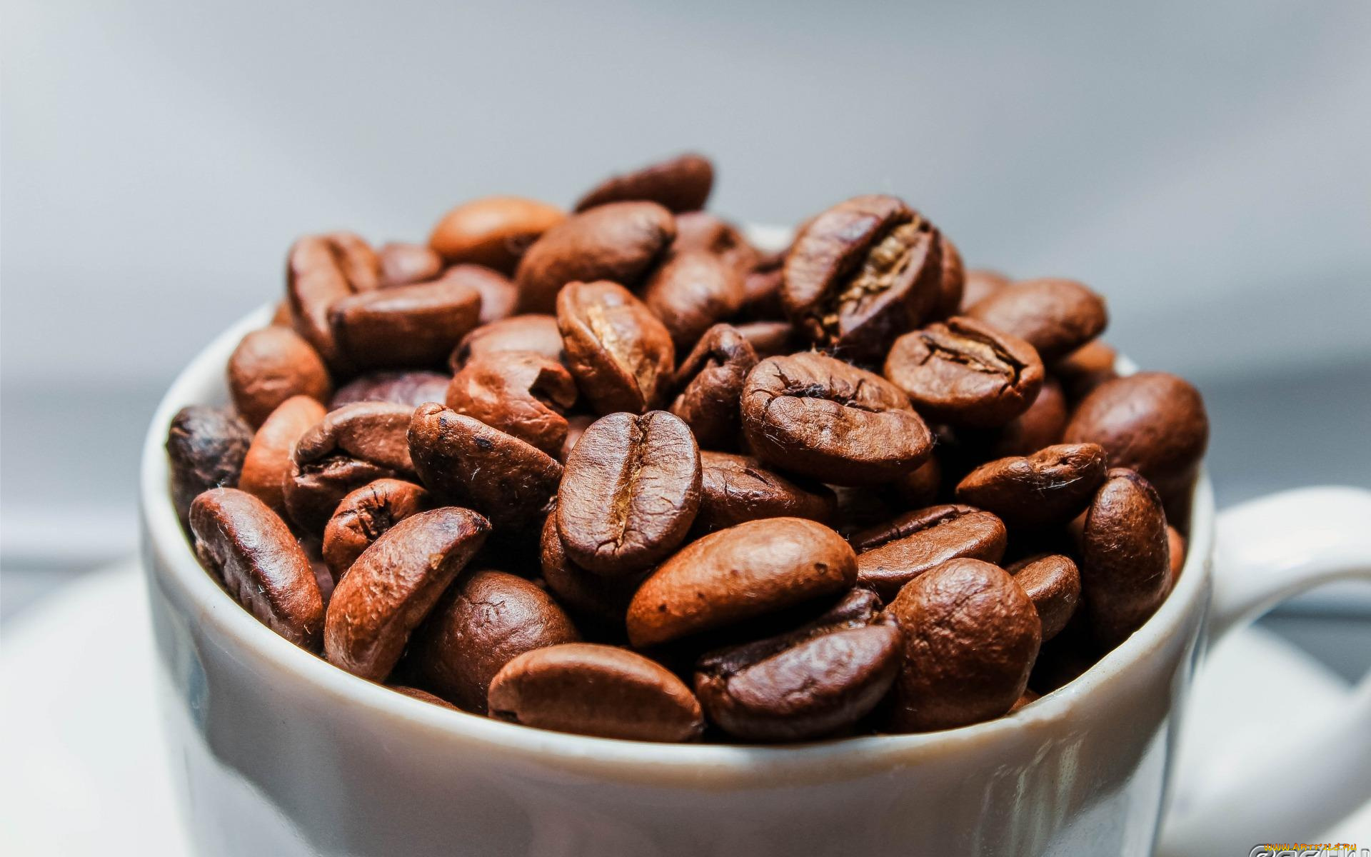 еда, кофе, , кофейные, зёрна, чашка, кофейные, зерна