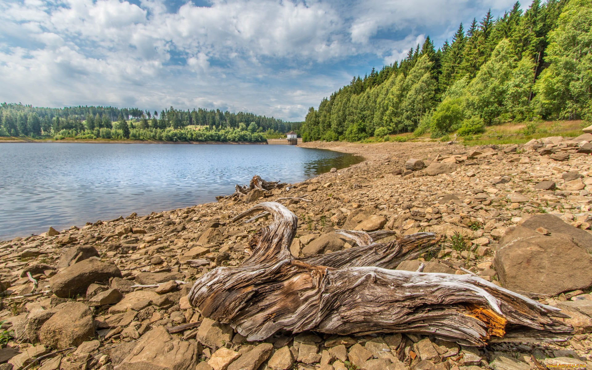 природа, побережье, простор