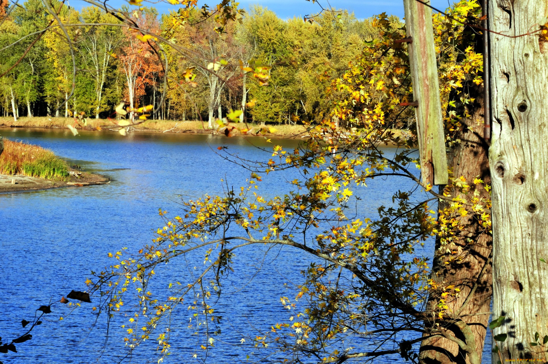 природа, реки, озера, осень