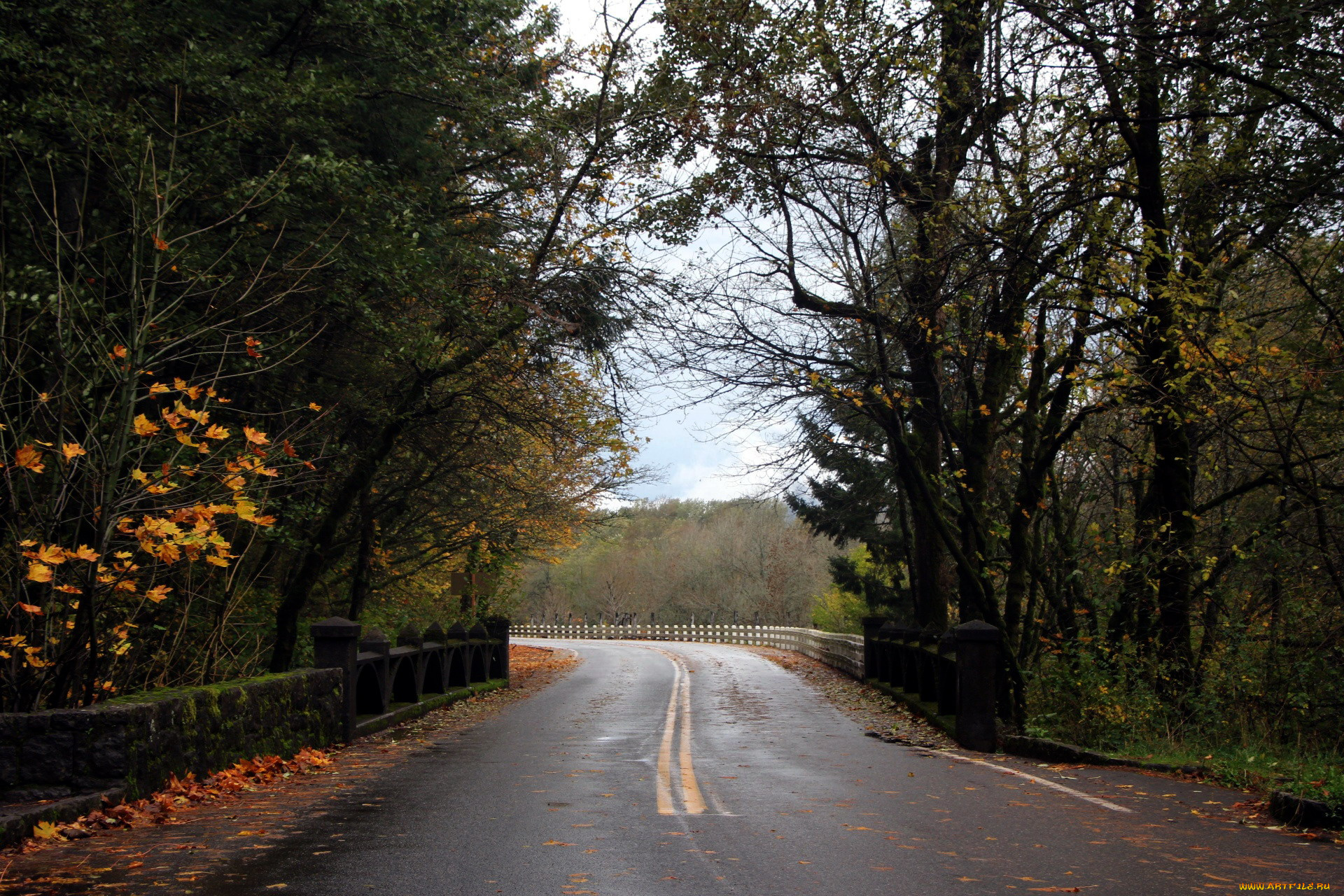 природа, дороги, поворот, шоссе