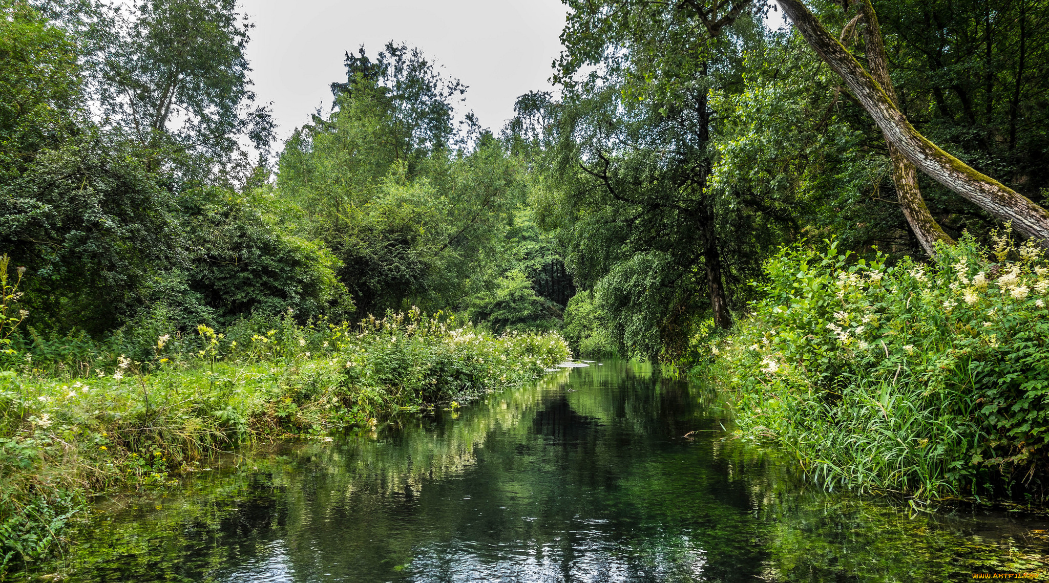 природа, реки, озера, простор