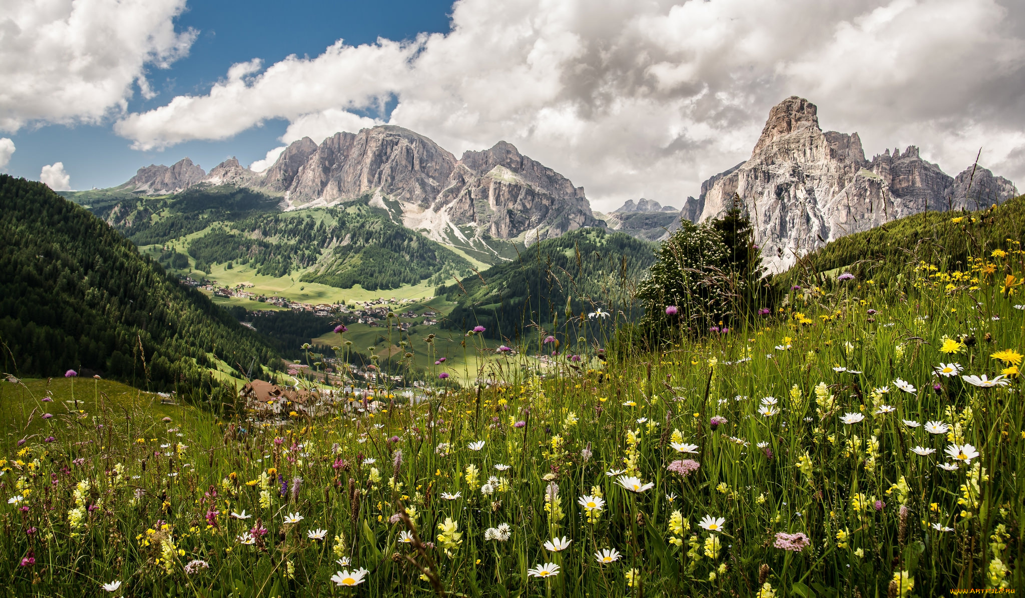 природа, горы, простор