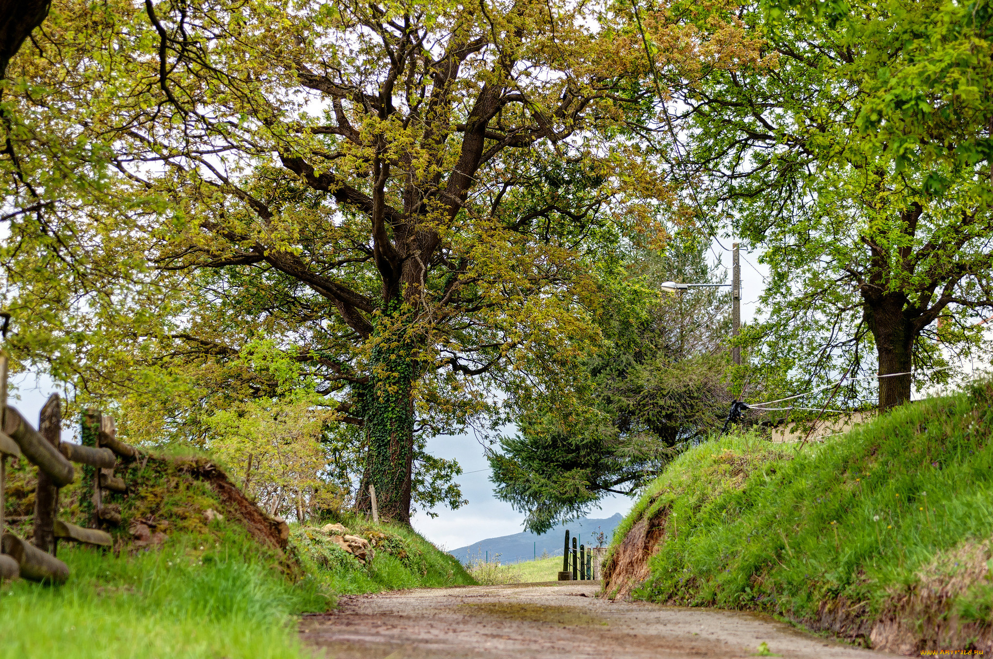 природа, дороги, простор