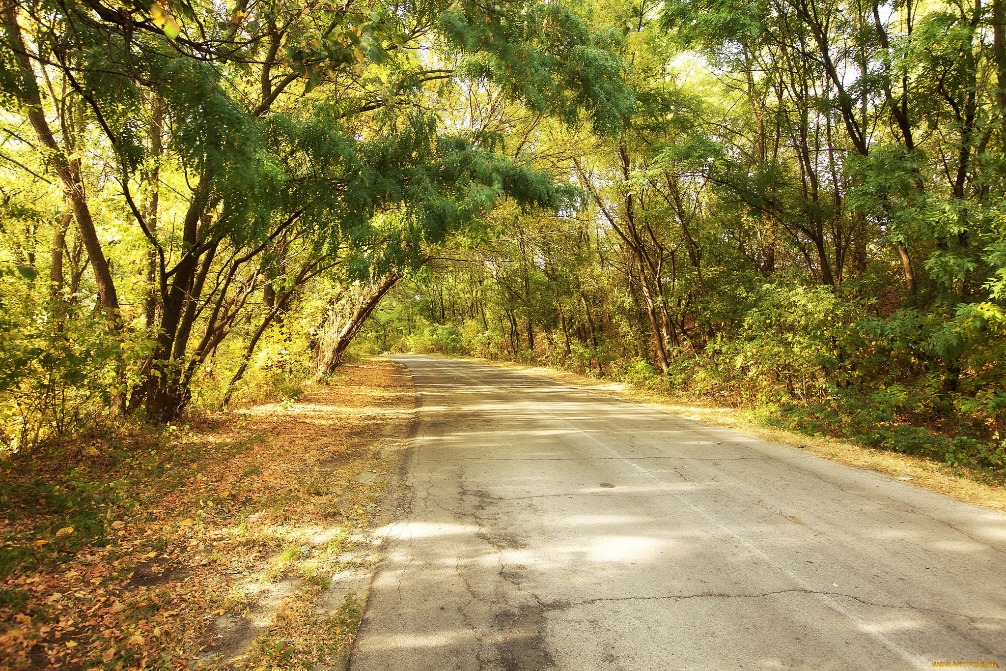 природа, дороги, простор