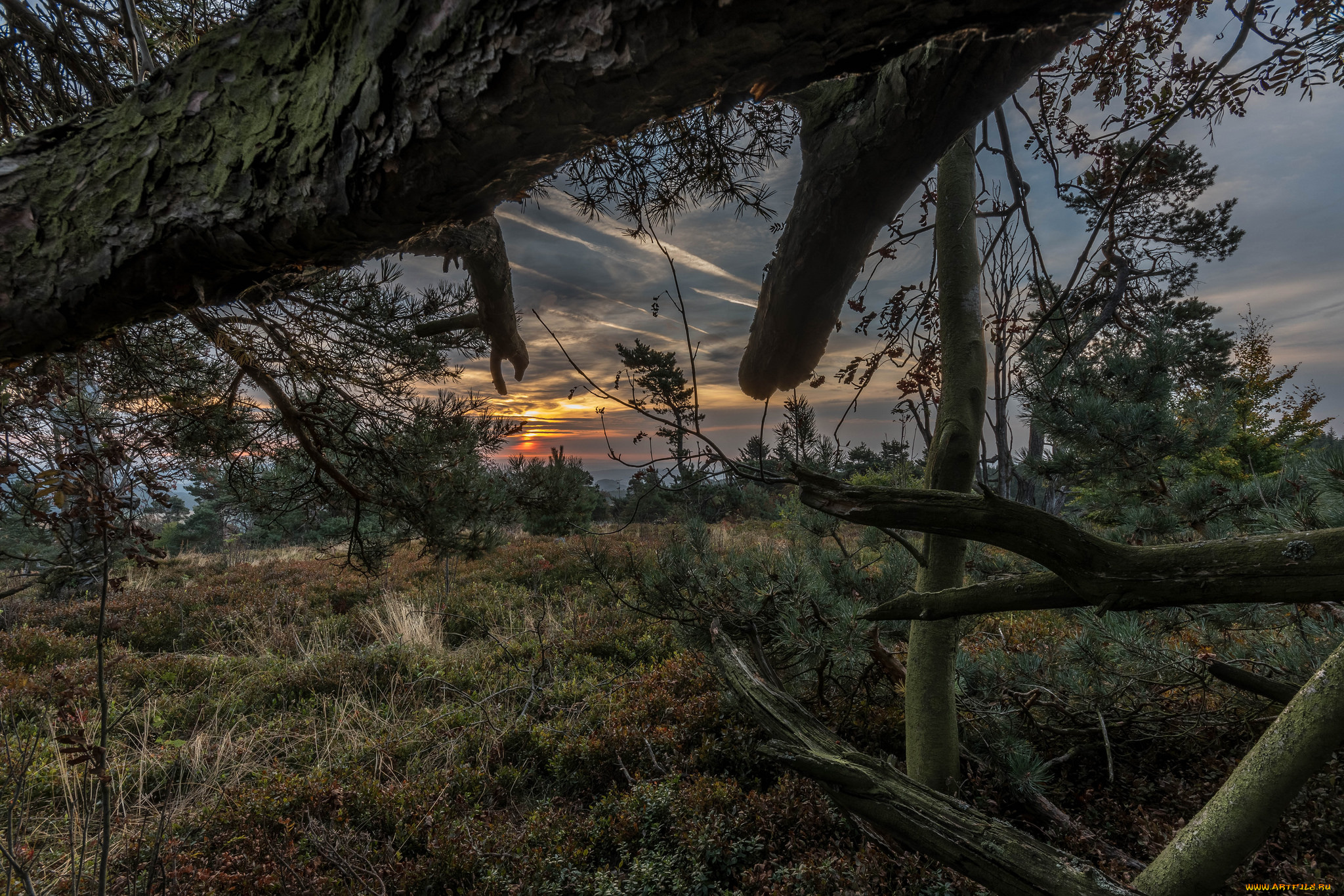 природа, пейзажи, простор