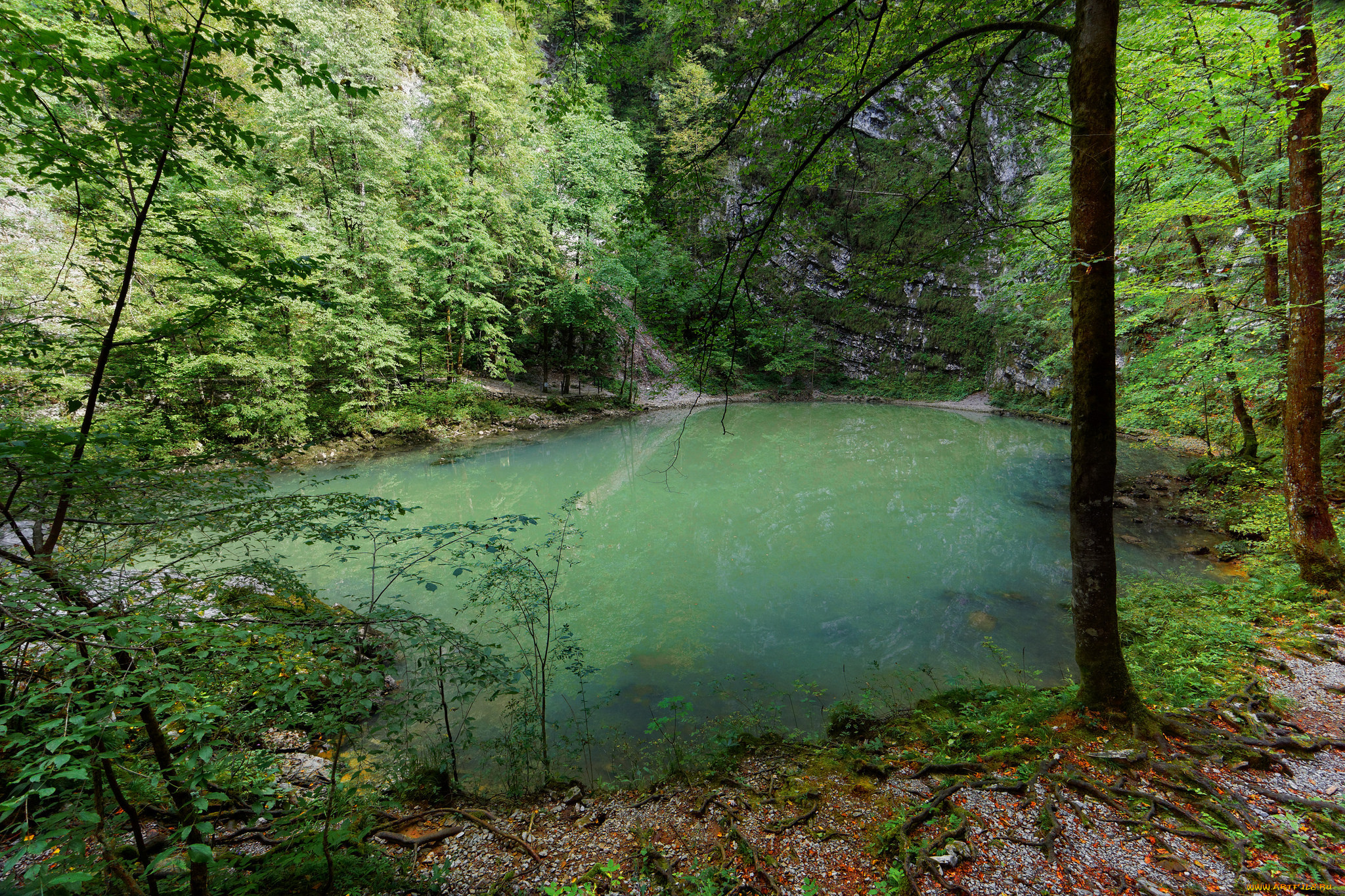 природа, реки, озера, простор