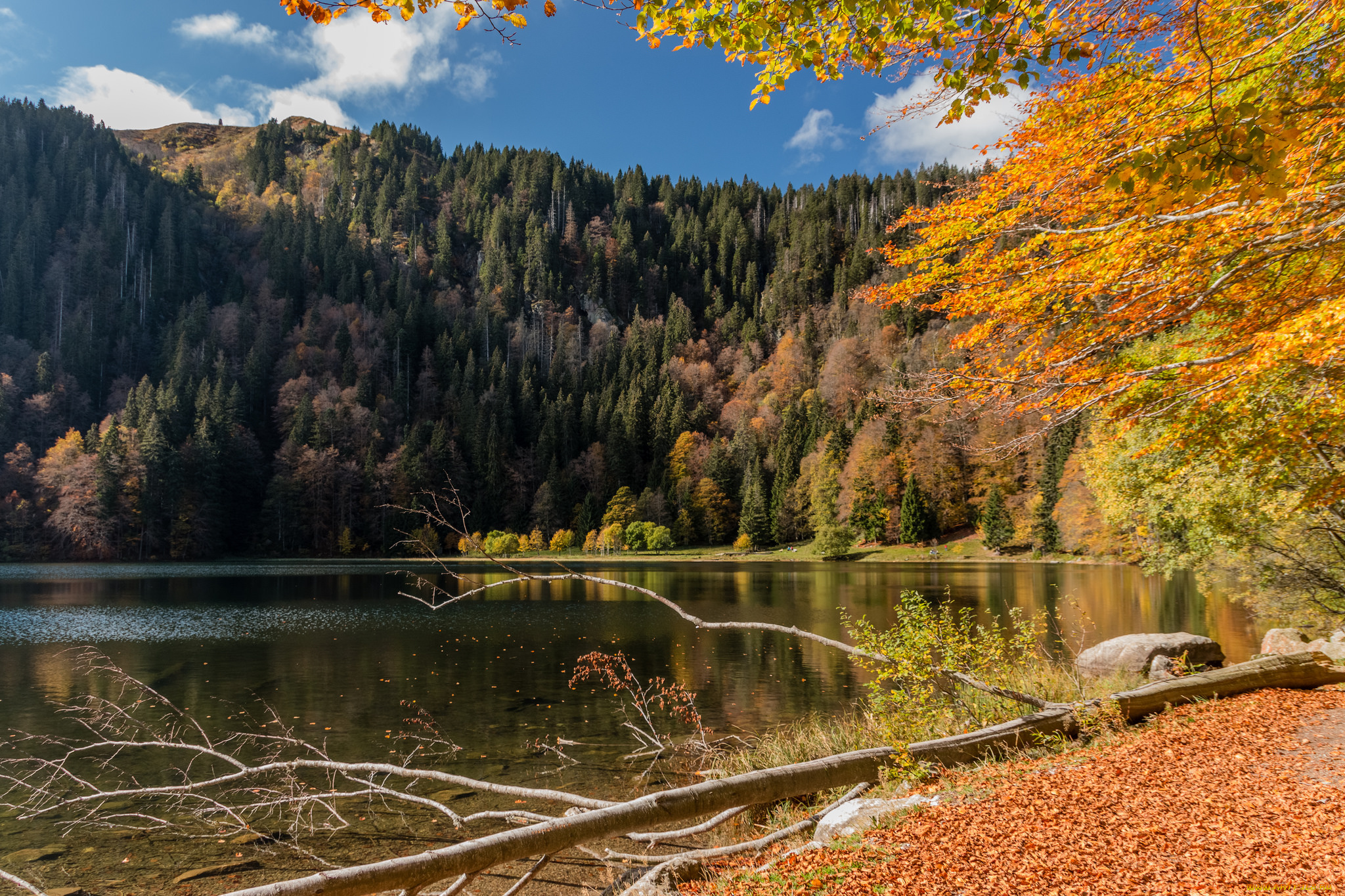 природа, реки, озера, простор