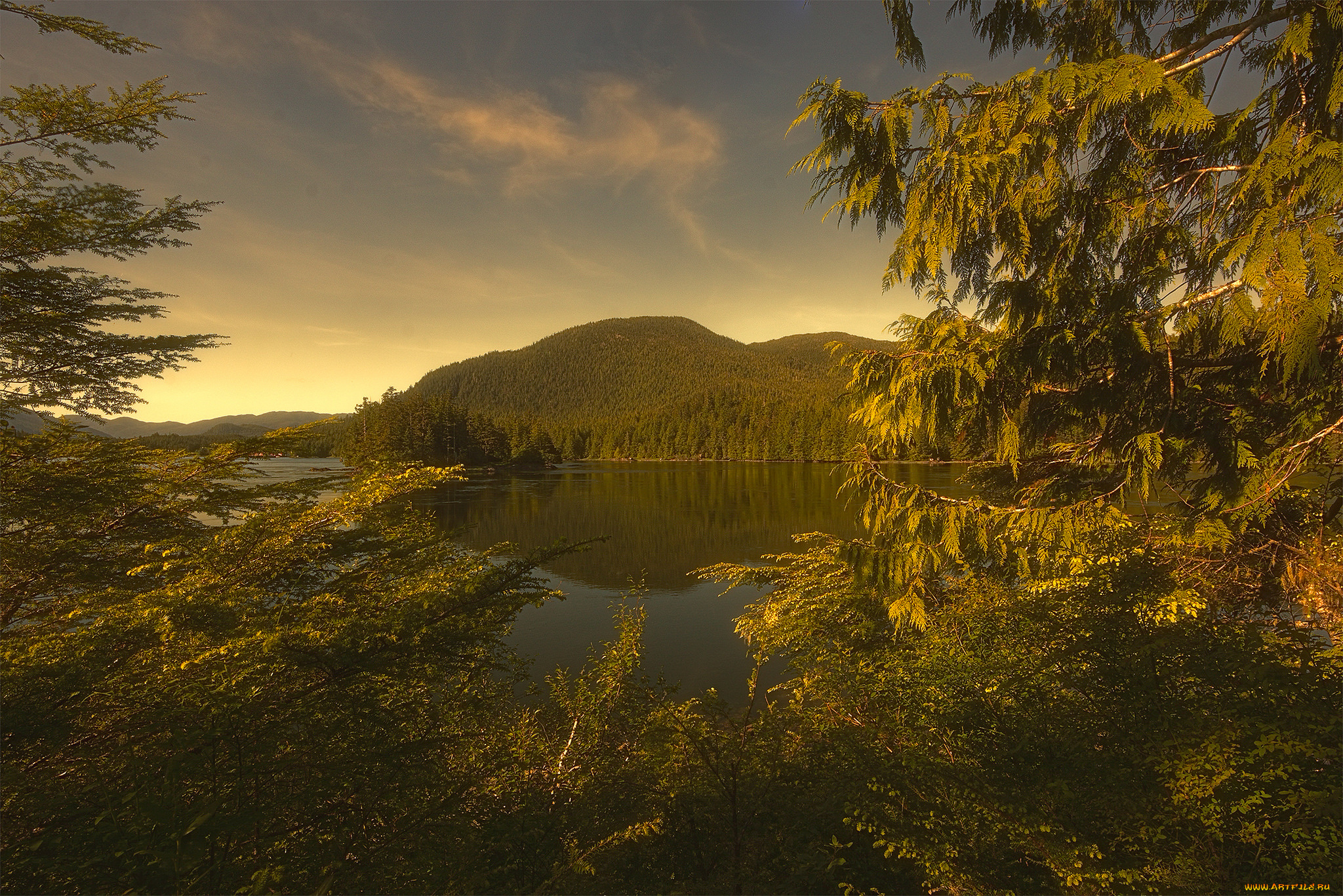 природа, пейзажи, простор