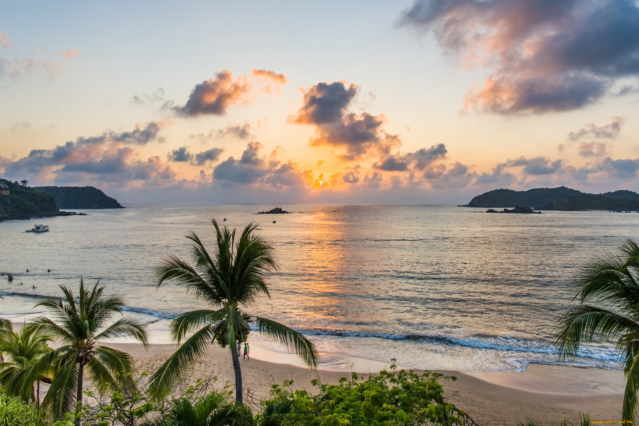 природа, тропики, простор