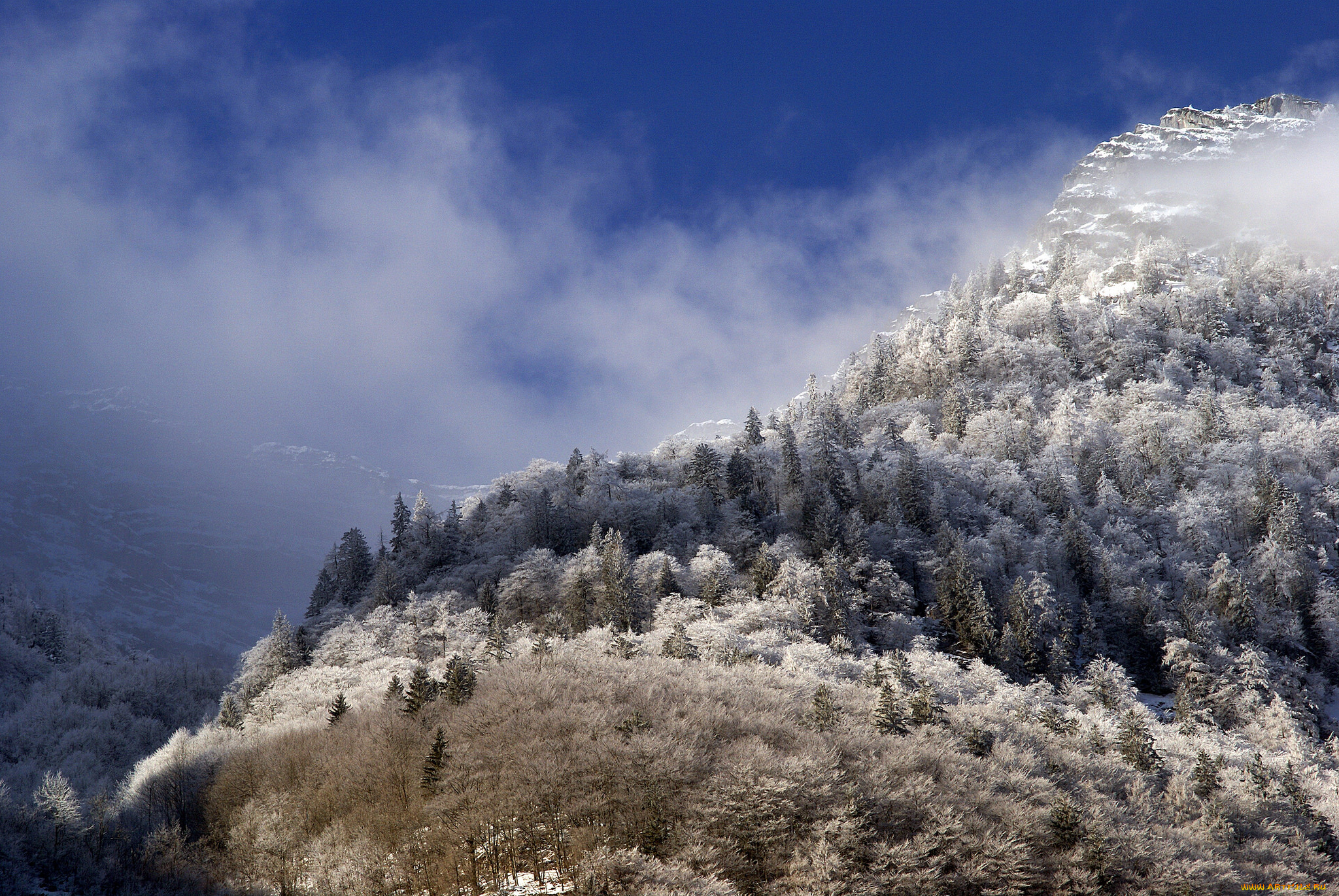 природа, горы, простор