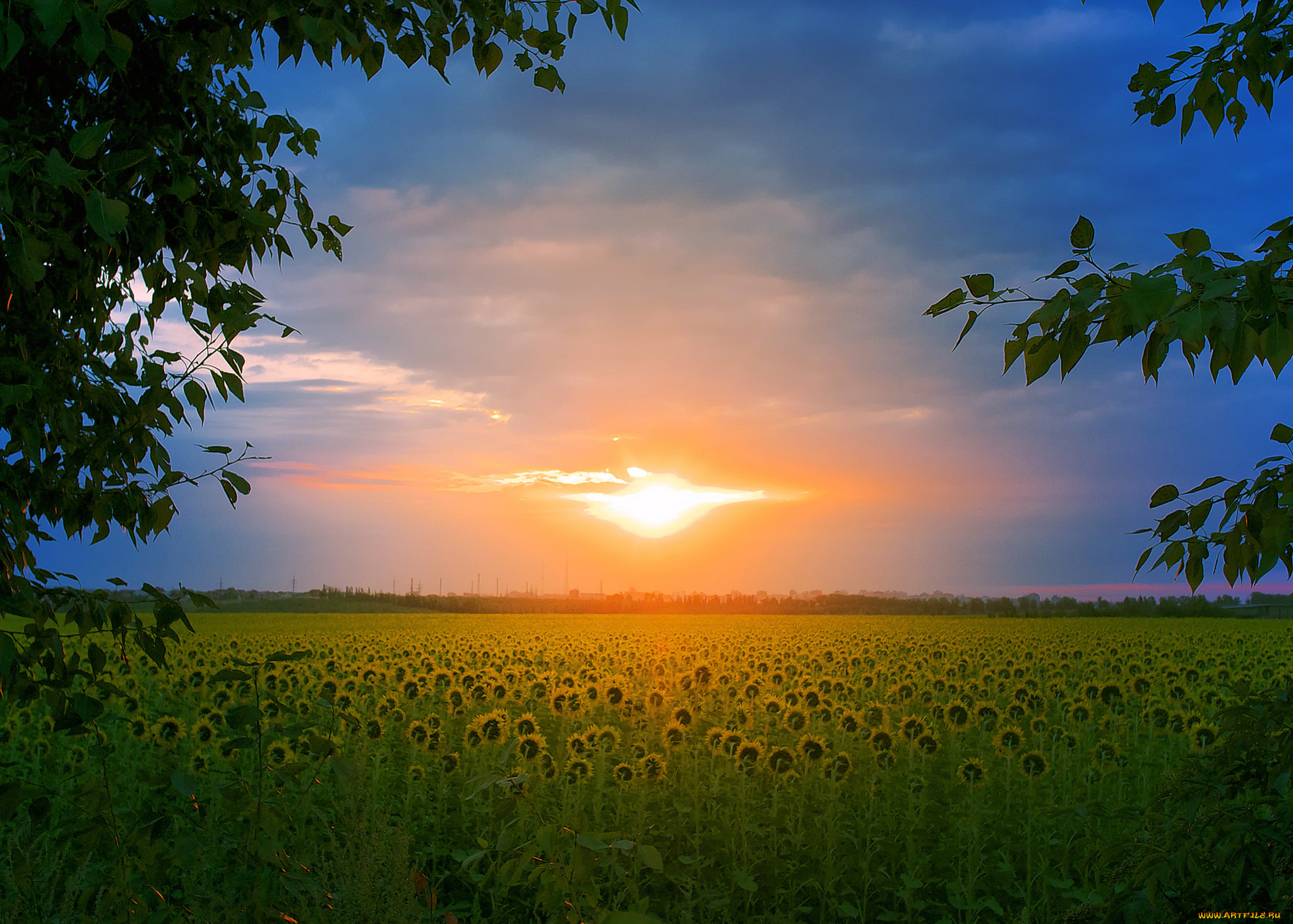 природа, восходы, закаты, простор