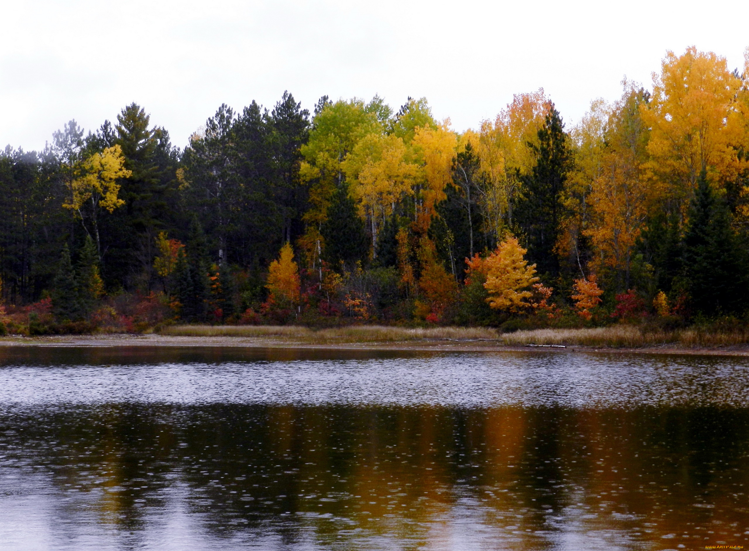 природа, реки, озера, осень