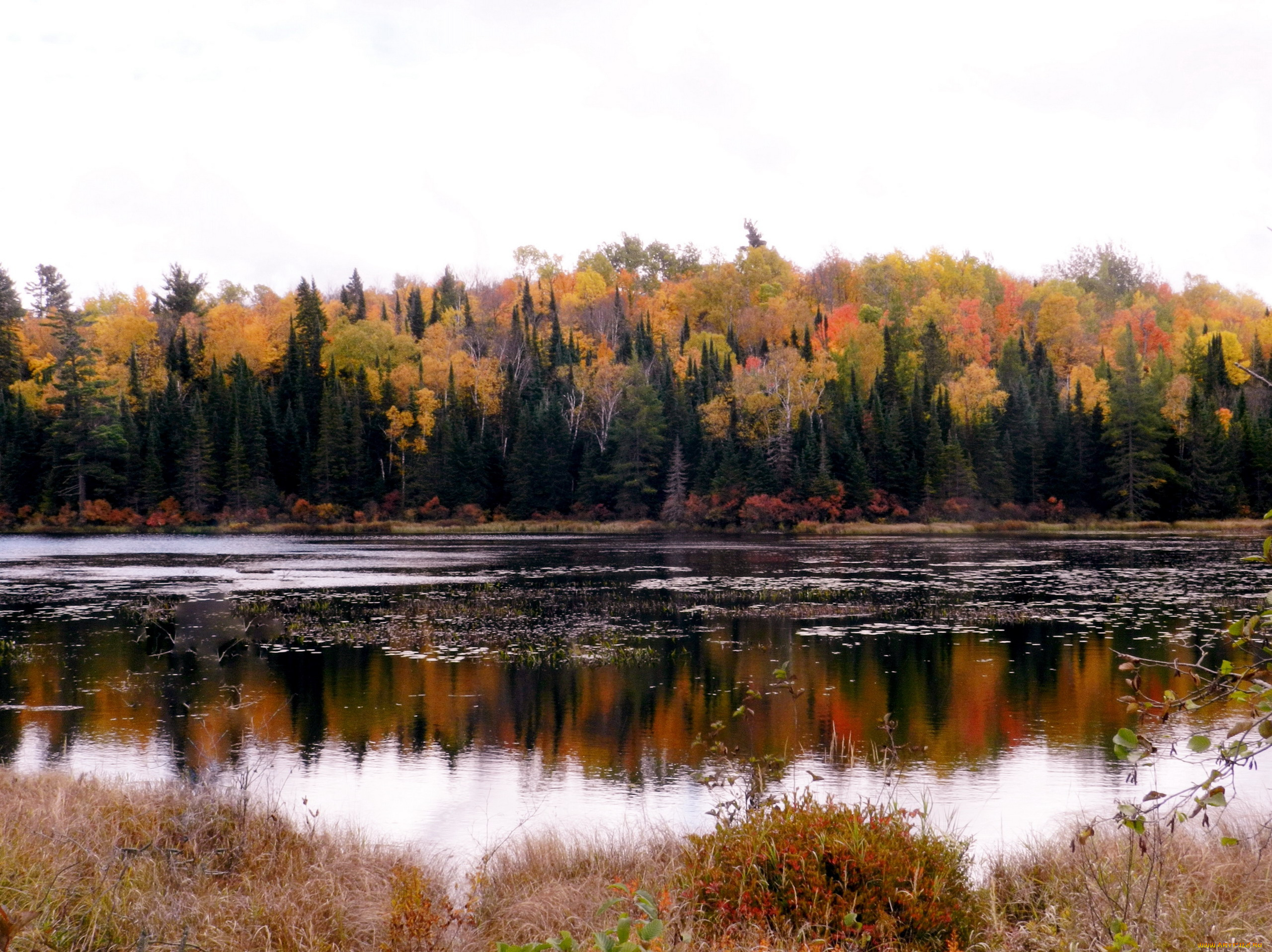 природа, реки, озера, осень