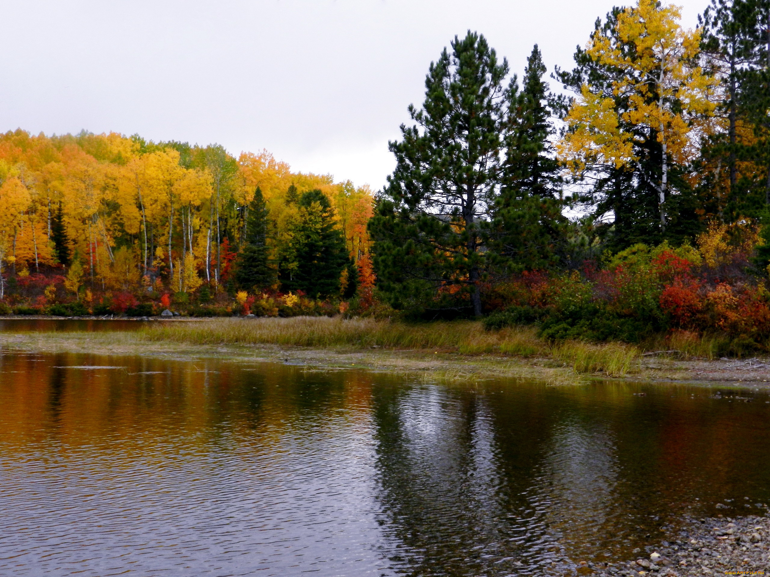 природа, реки, озера, осень