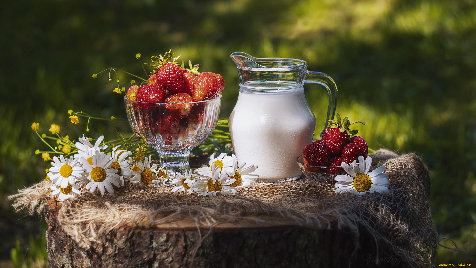 еда, киви, ромашки, ваза, клубника, крупная, спелая, кувшин, молоко